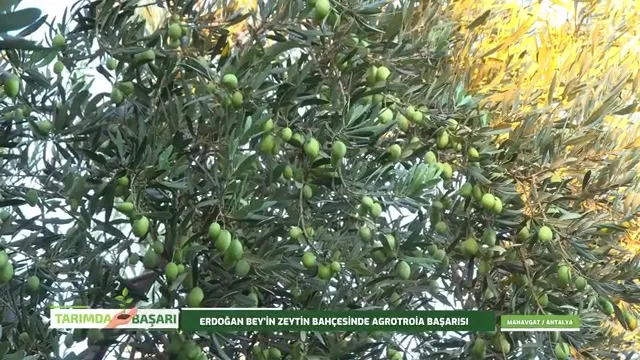 النجاح في الزراعة
