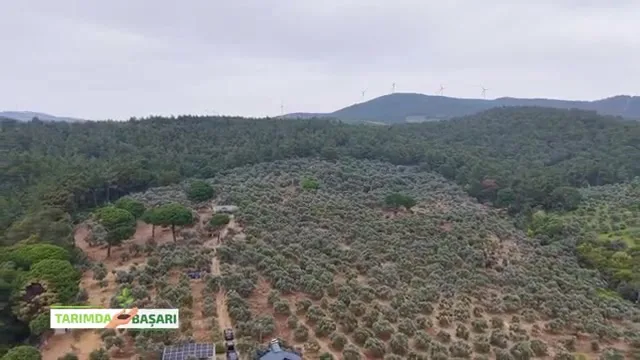 النجاح في الزراعة