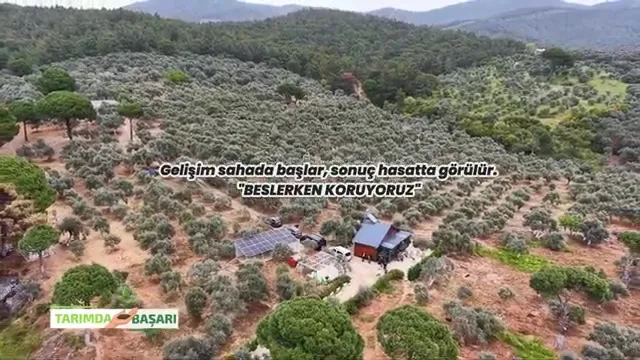 النجاح في الزراعة