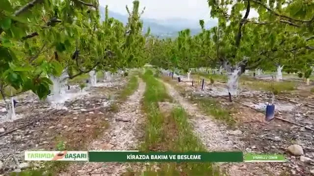 النجاح في الزراعة
