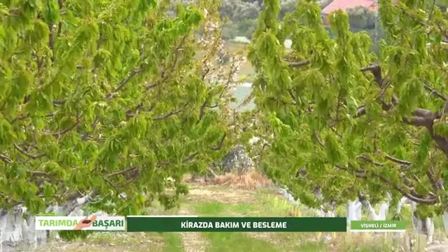 النجاح في الزراعة