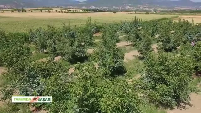 النجاح في الزراعة