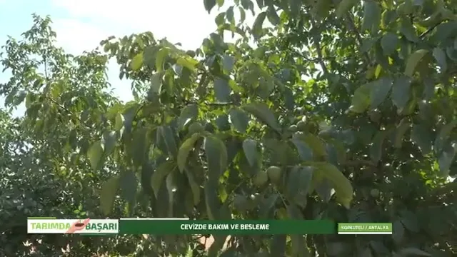 النجاح في الزراعة
