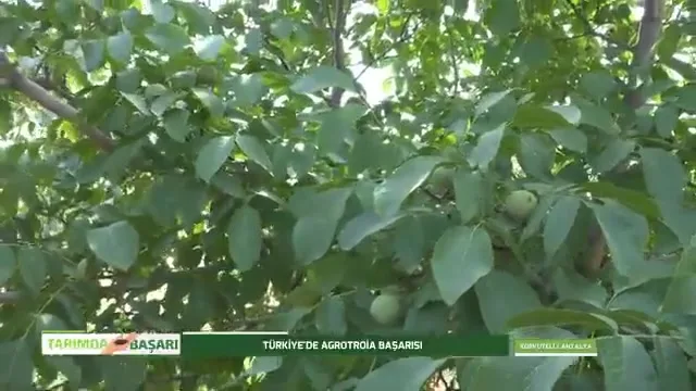 النجاح في الزراعة