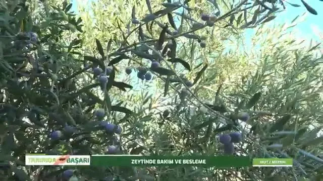 النجاح في الزراعة