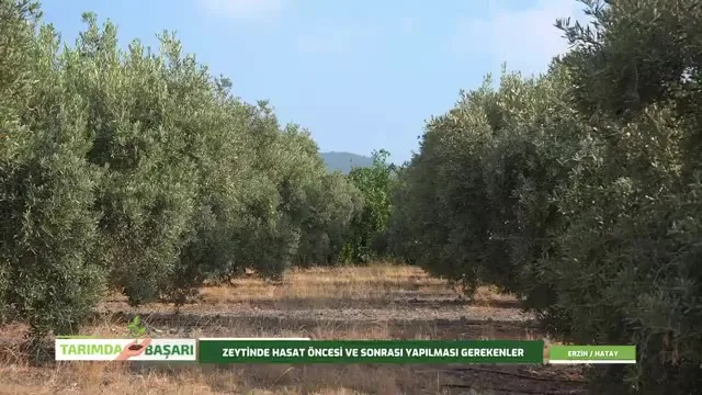 النجاح في الزراعة