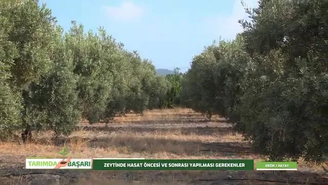 النجاح في الزراعة