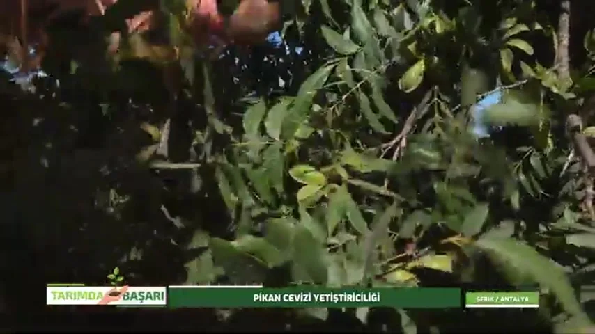 Success in Agriculture