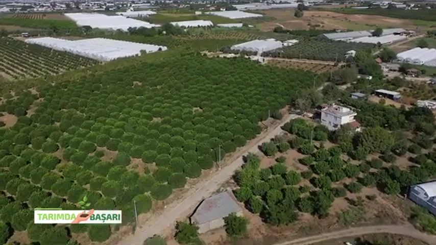 Success in Agriculture