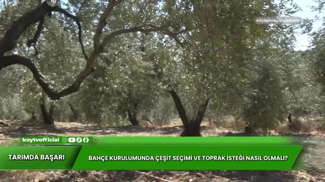 Kənd Təsərrüfatında Uğur