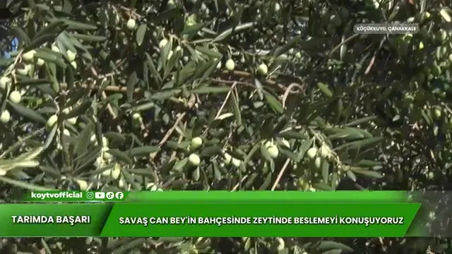 Kənd Təsərrüfatında Uğur