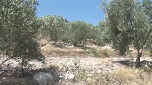 Kənd Təsərrüfatında Uğur