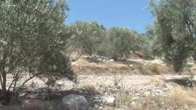 Kənd Təsərrüfatında Uğur