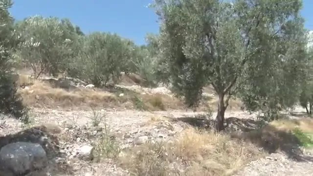 Kənd Təsərrüfatında Uğur