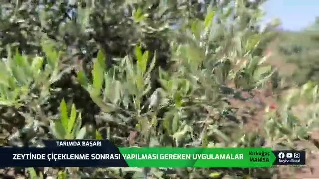 Success in Agriculture