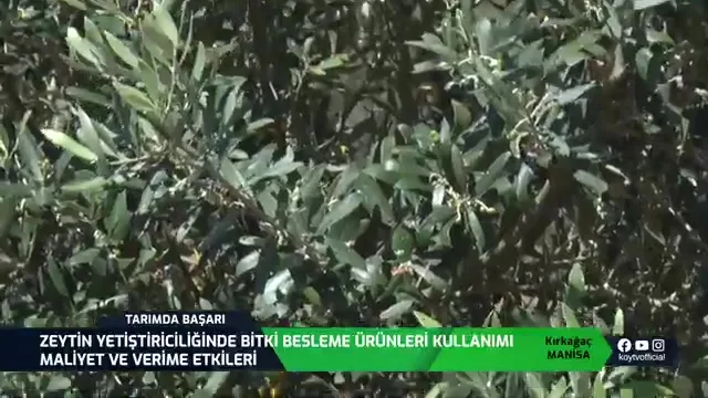 Success in Agriculture