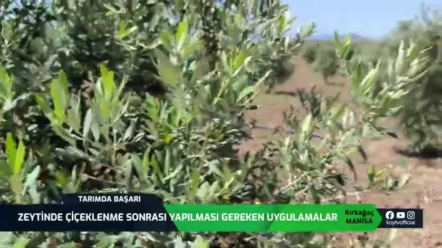 Success in Agriculture