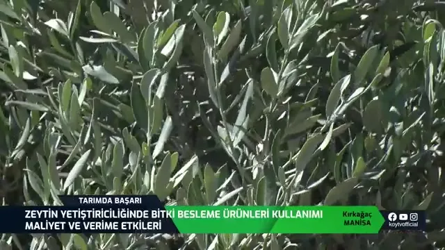 Success in Agriculture