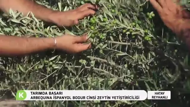 Success in Agriculture