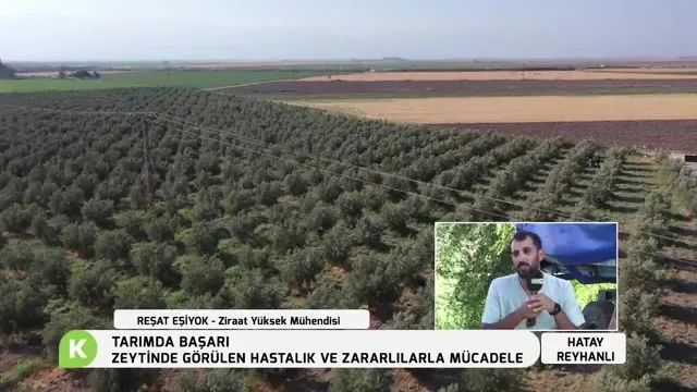 Success in Agriculture