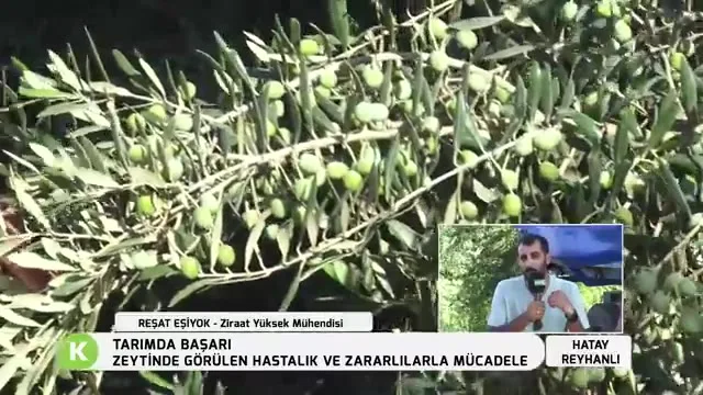Success in Agriculture