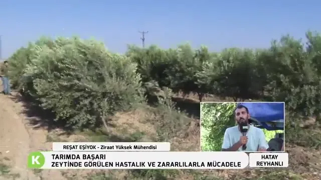 Success in Agriculture