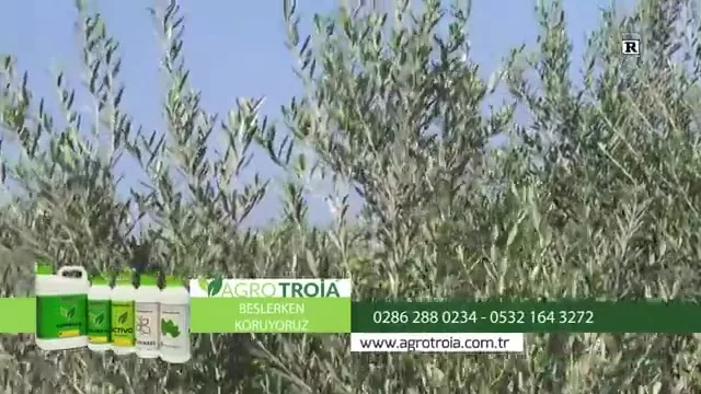 Success in Agriculture