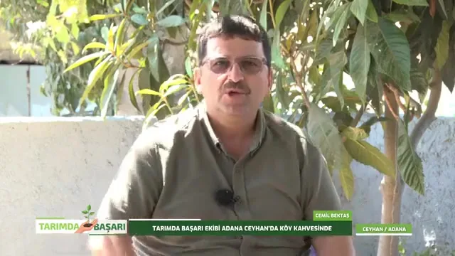 Success in Agriculture - Ceyhan olive
