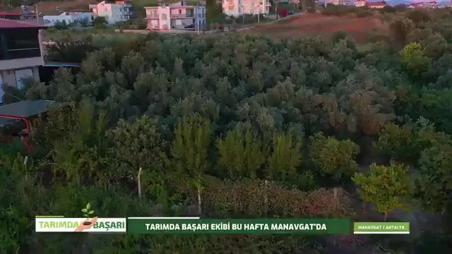 النجاح في الزراعة