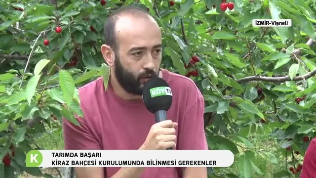Tarımda Başarı - gilas bağ quruluşu
